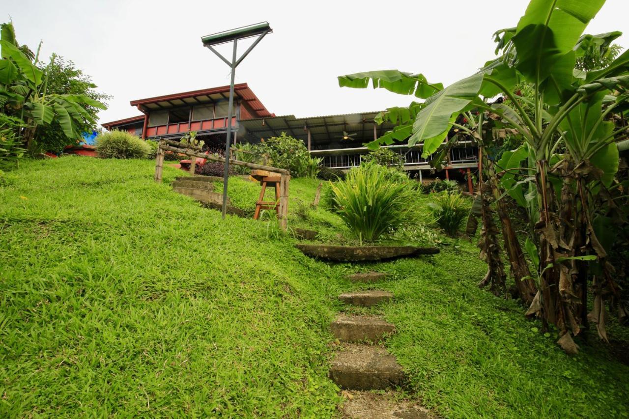 Toucan Lane Hotel And Restaurant Nuevo Arenal Exteriér fotografie